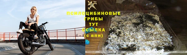 спиды Сафоново