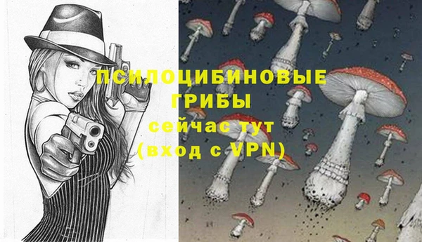 ПСИЛОЦИБИНОВЫЕ ГРИБЫ Сатка