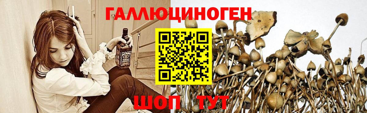 Псилоцибиновые грибы ЛСД  Вход с VPN  Кудрово 