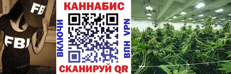 кракен вход  Кудрово  Марихуана сатива 